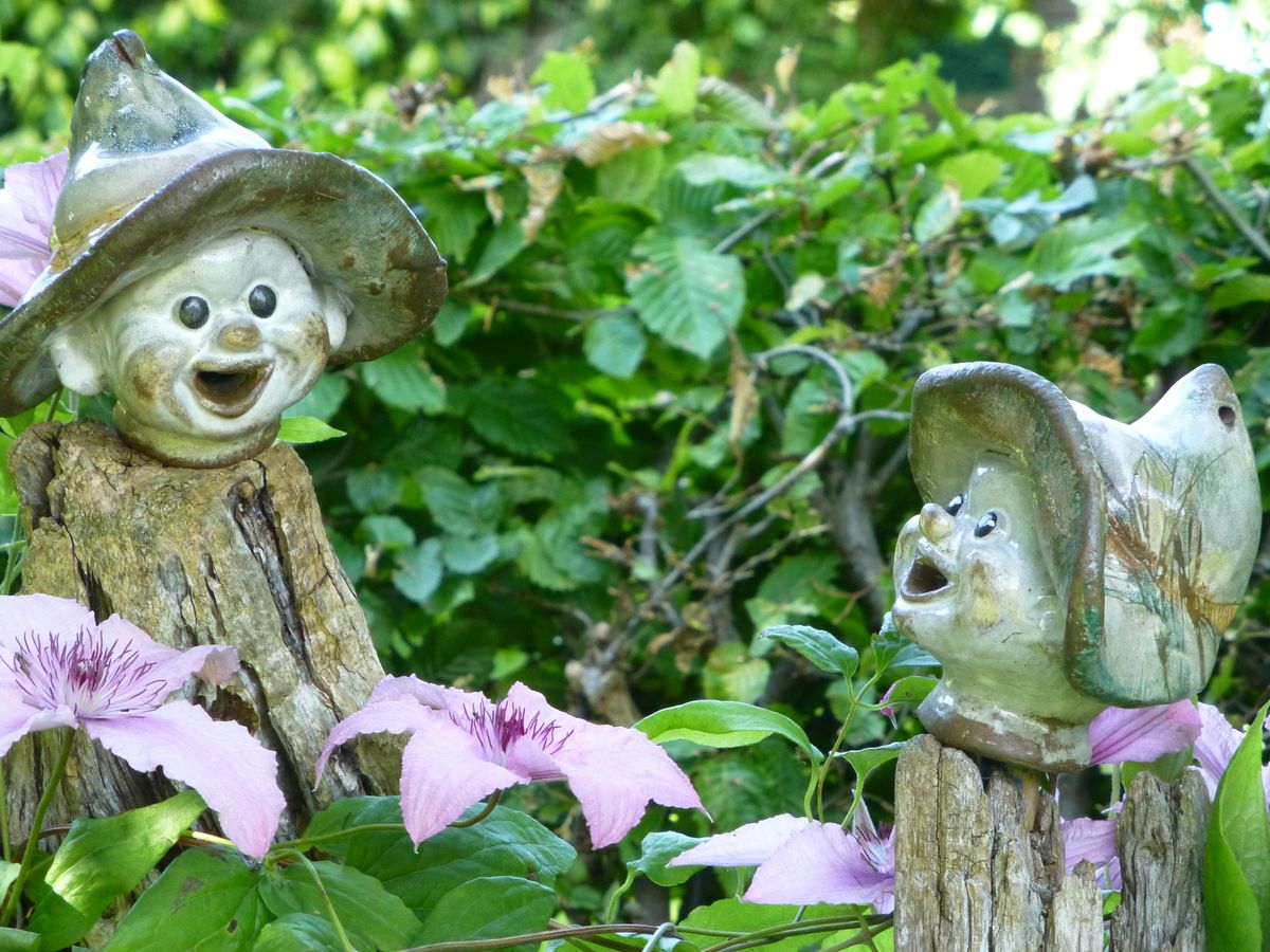 Garten und Umgebung