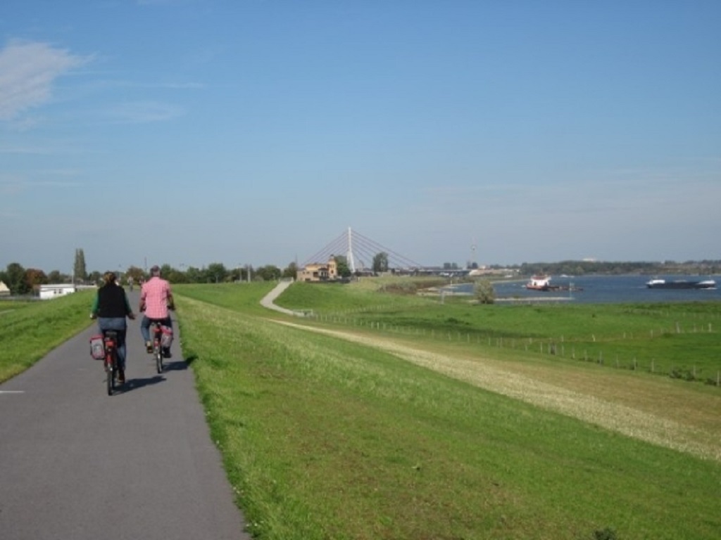 Rheindamm bei Büderich